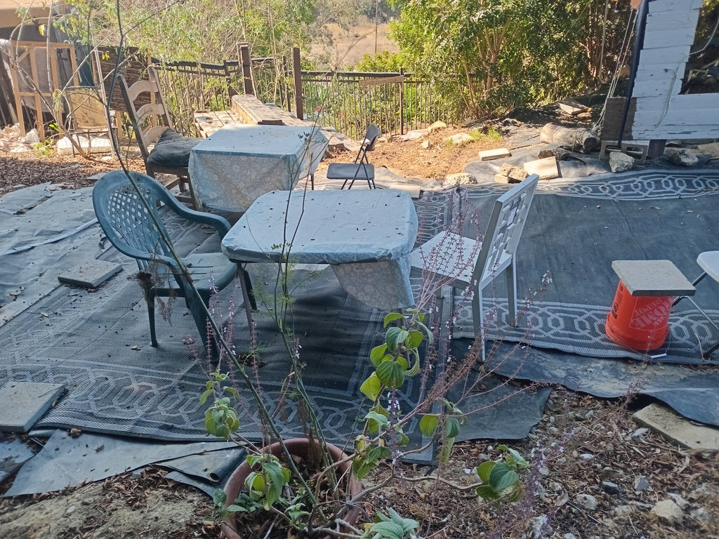 Welcome to Baldwin Hills Bed and Breakfast